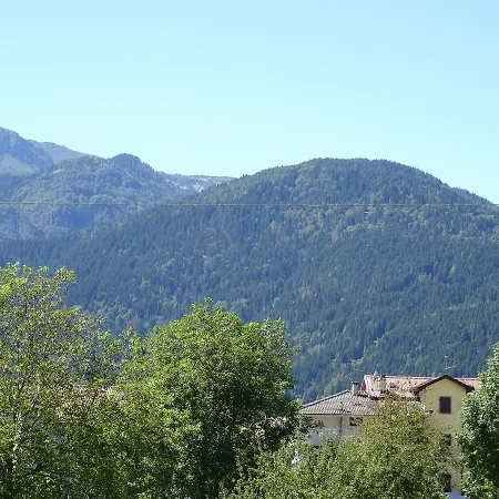 Galles Paluzza